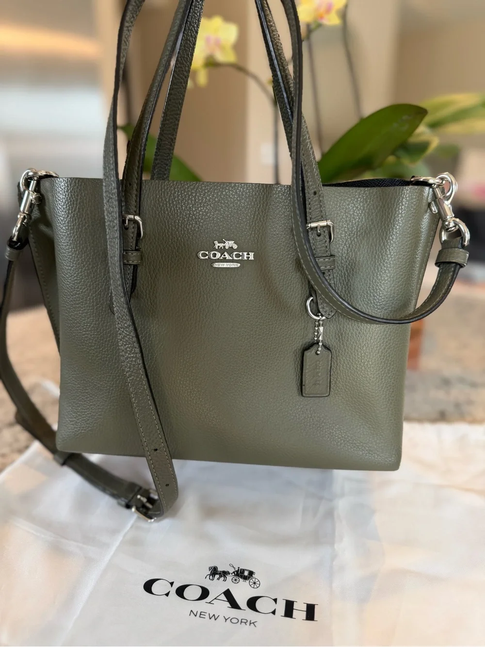 Coach Mollie Tote 25 Military Green Leather Crossbody Bag Style C4084